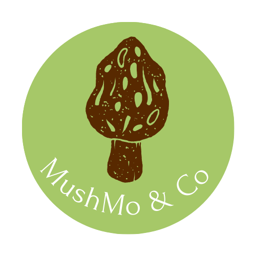 mushMo & Co