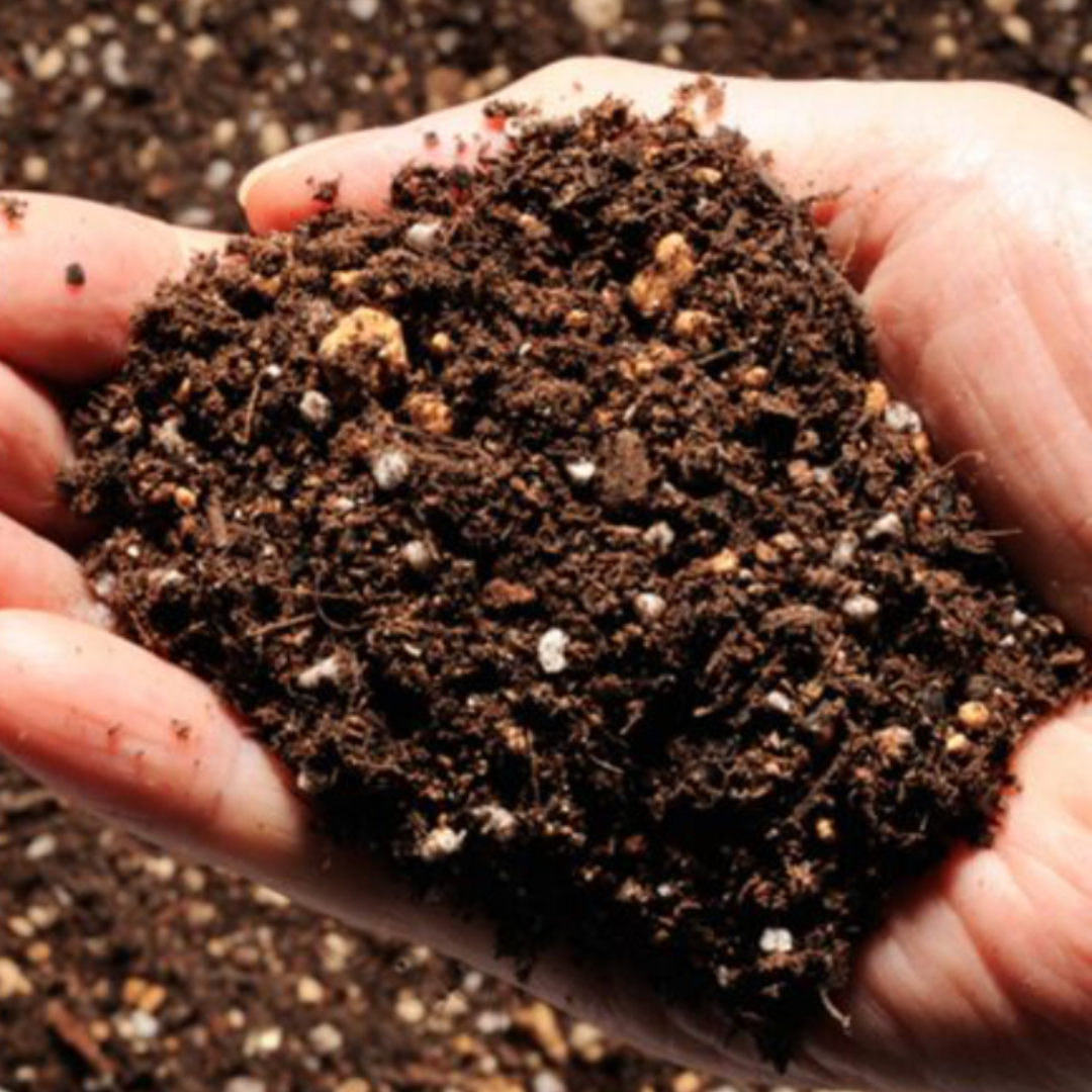 Préparation (engrais pour morilles) 1kg