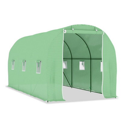 Serre pour plantation de morilles