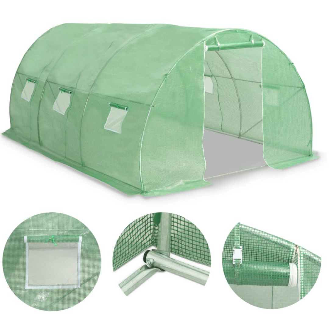 Serre pour plantation de morilles