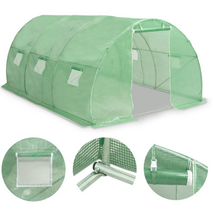 Serre pour plantation de morilles